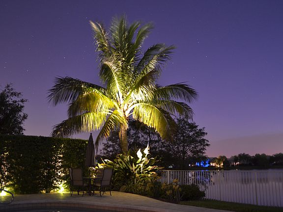 Yard With Custom Lighting