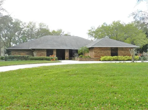 18502 Turtle Dr, Lutz, FL 33548