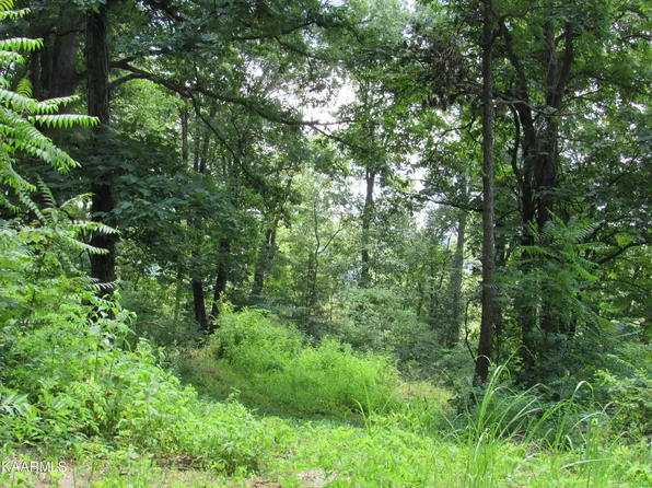 861 Rebecca Ln, Jefferson City, TN 37760