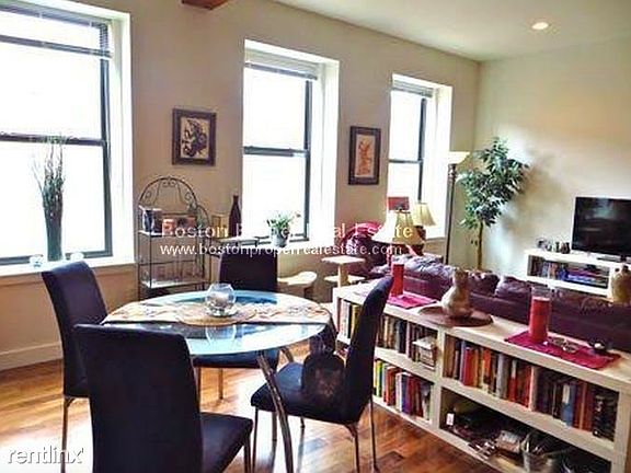 520 Harrison Ave. #201 Boston - South End Unit Photo 3