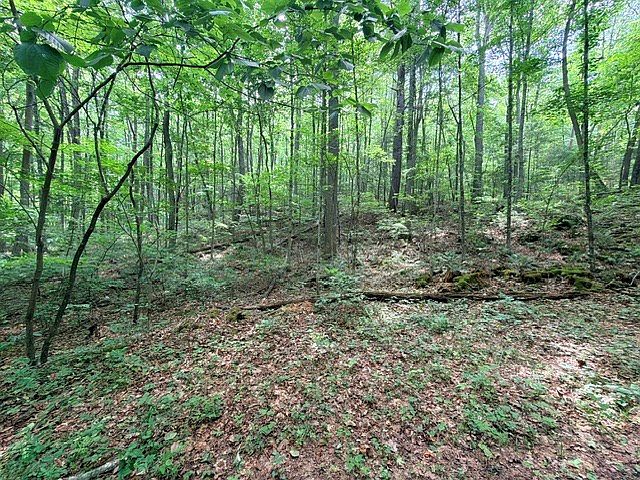 2nd image of 0 Molly Mann Rd