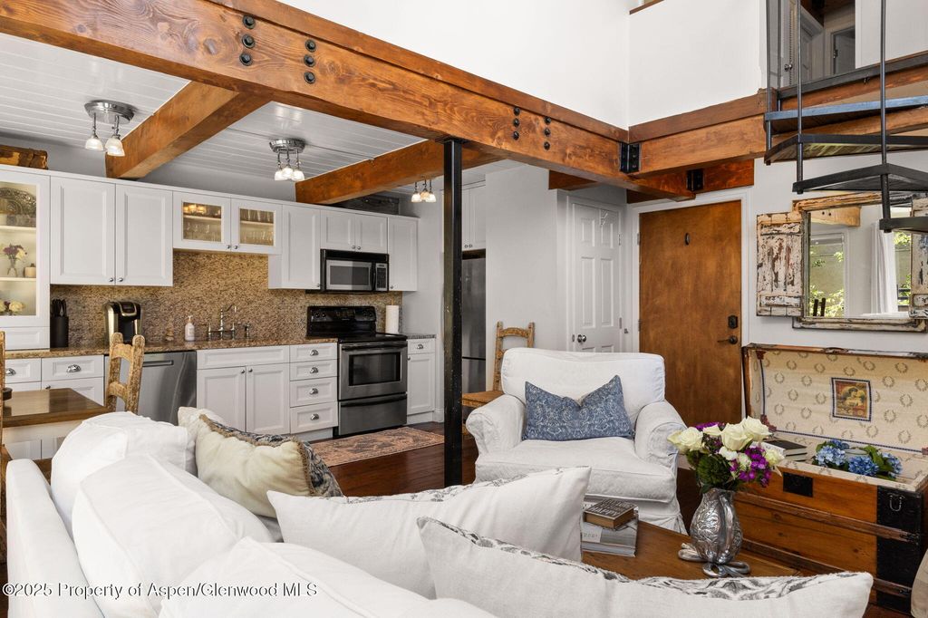 1024 E Cooper Ave APT 8, Aspen, CO - View 4