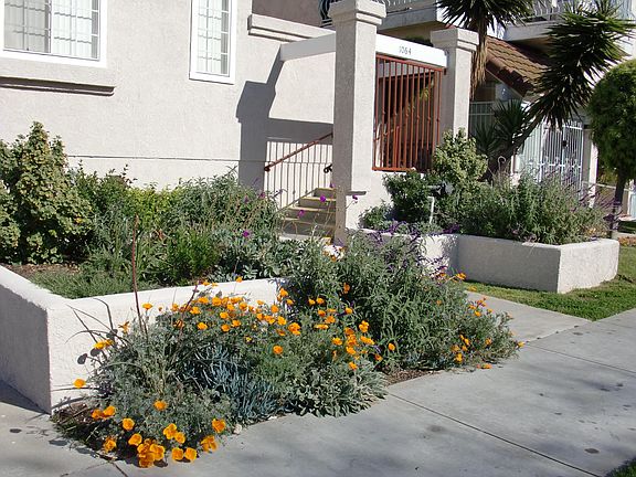 Entrance to the building