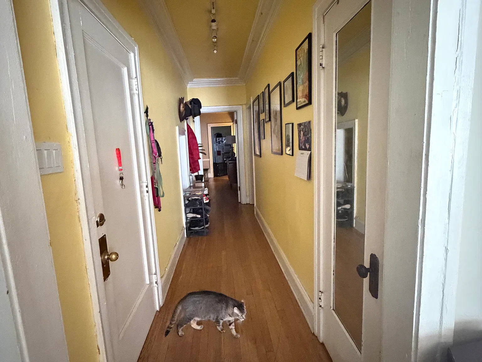 3 bed, 1550 sqft, $2,000 — Photo 2