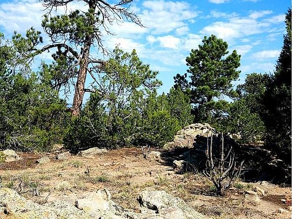 4th image of LOT 60 Turkey Ridge Rd