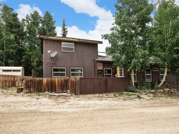 111 W Buckskin Rd, Alma, CO 80420