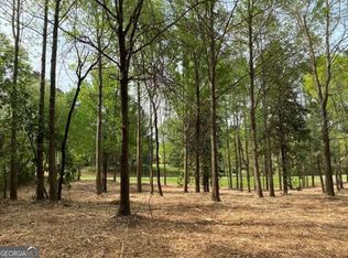 393 Owens Store Rd, Canton, GA 30115