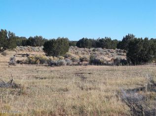 LOT 159 Witch Well Rnch LOT 159, Saint Johns, AZ 85936
