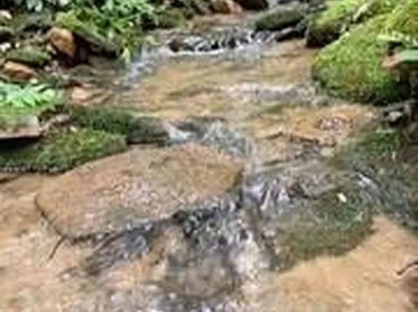 0 Spring Cove Trl, Lakemont, GA 30552