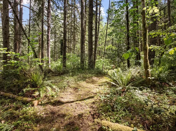 0 Tonga Ln, Springfield, OR 97478