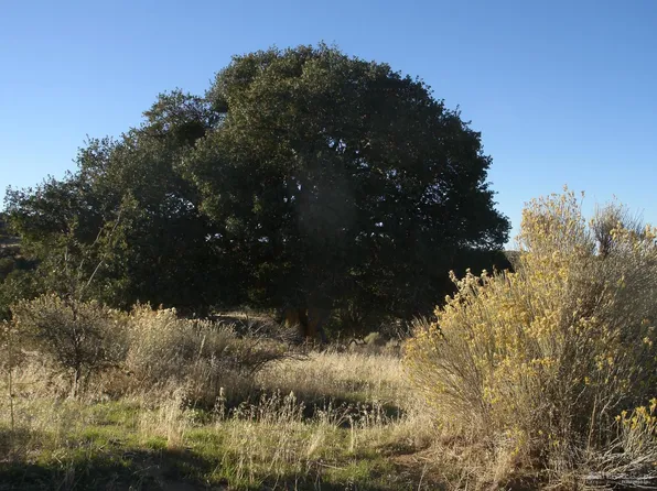 0 Summers Dr Lot 151, Tehachapi, CA 93561