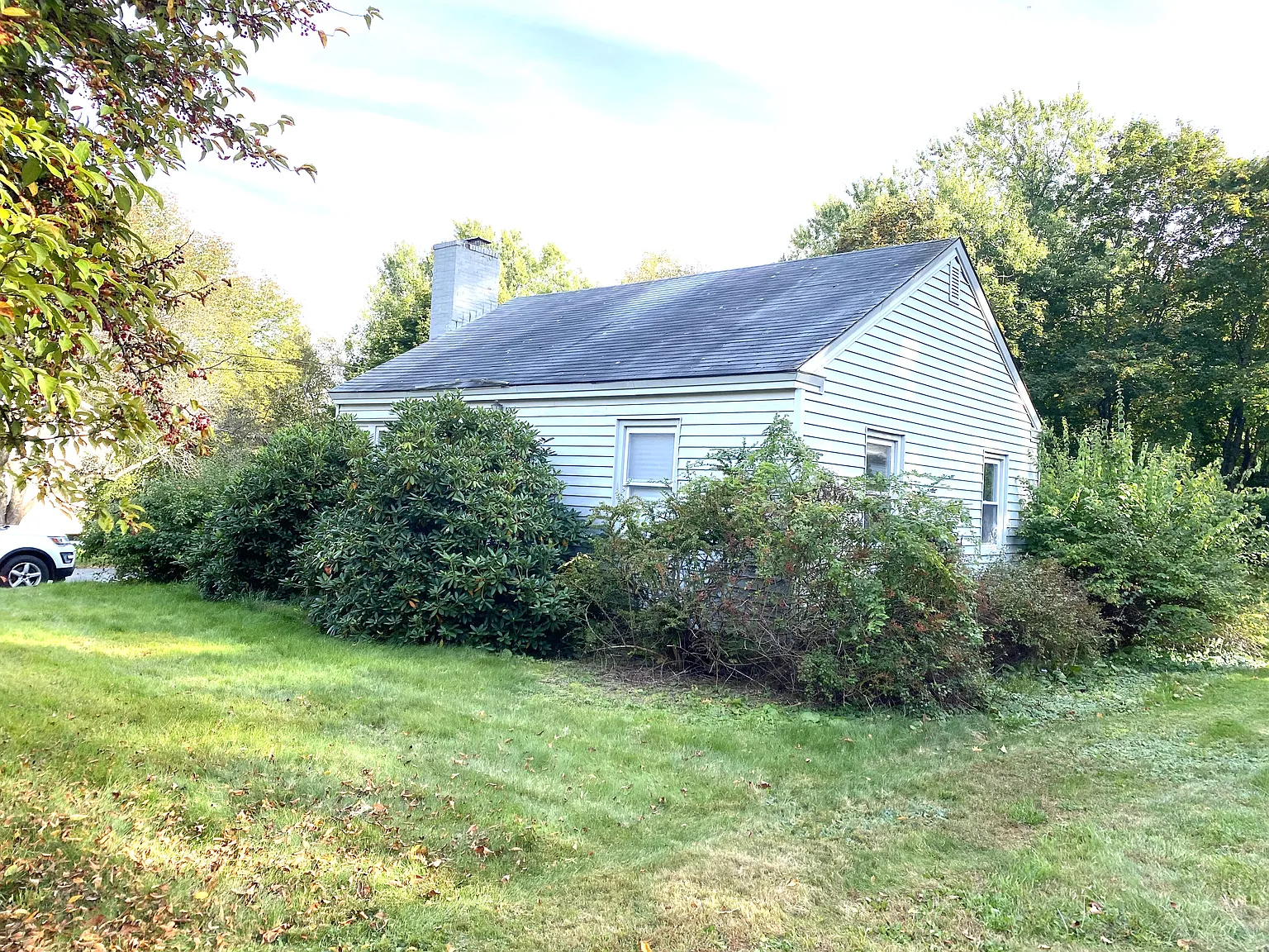 2 bed, 900 sqft, $1,950 — Photo 3