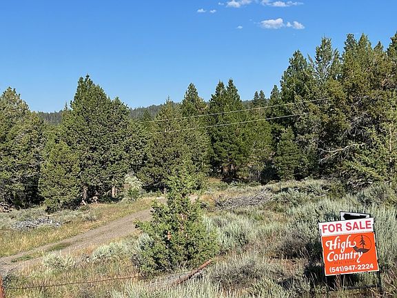 2nd image of 88037 Dog Lake Ln