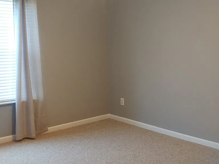 3021 Harpeth Springs Dr — Photo 12