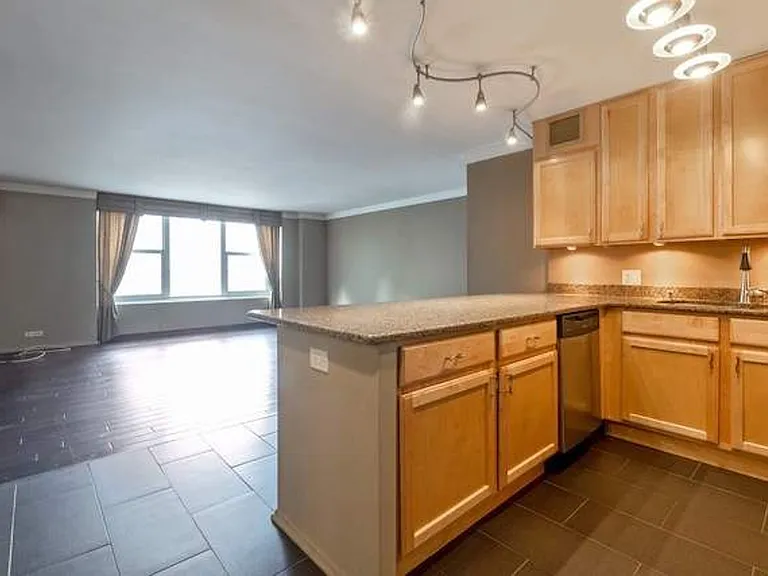 777 N Michigan Ave #1609 — Photo 10