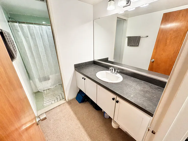 Varsity Management - 515 Walnut — Photo 58