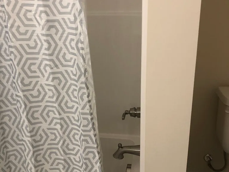 Bathtub in hall bath