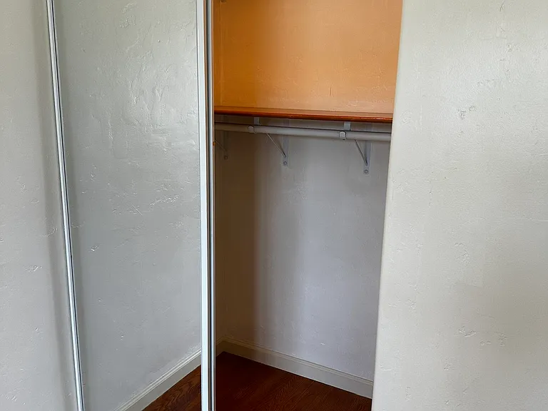 Bedroom Closet with Shelves & Closer Hangers with Closet Light