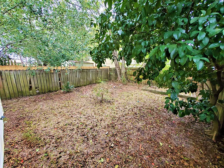 backyard w/ fence