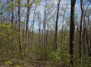 0 Danville Pike, Meadows of Dan, VA 24120