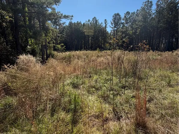 31 Waterside Point, Abbeville, SC 29620