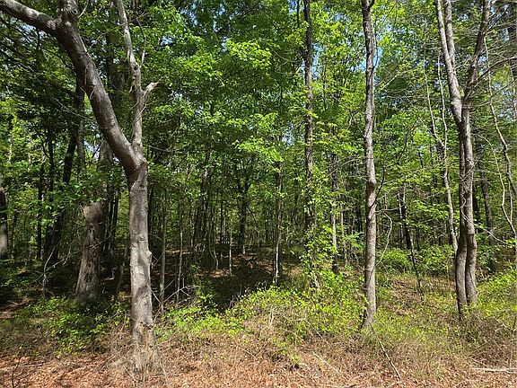 4th image of LOT 5 Wolf Pond Rd