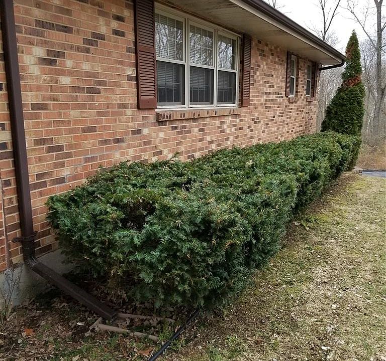 2nd image of 14125 Old Jamestown Rd