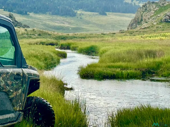 0 Brazos River Crossing Rd, Los Ojos, NM 87551