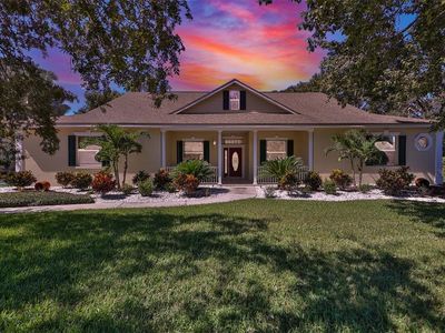 606 Spring Blossom Ct, Brandon, FL, 33511
