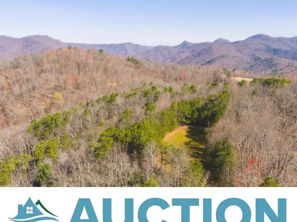 Tbd Ararat Hwy, Ararat, VA 24053