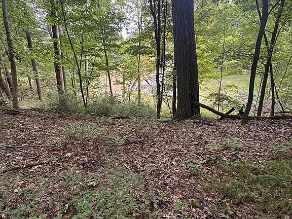 5th image of Lot 37 WHITNEY WAY