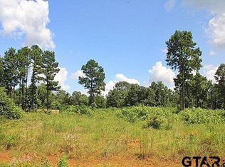 920 Stone Chimney Rd LOT 19-3608, Bullard, TX 75757