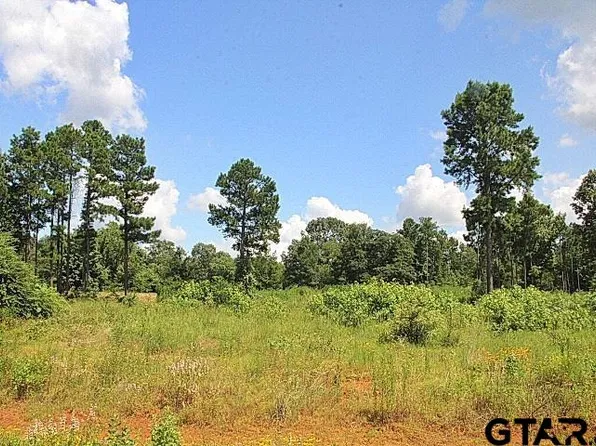 920 Stone Chimney Rd Lot 19-3608, Bullard, TX 75757