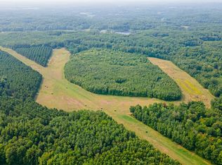 29675 Azure Rd, Cushing, MN 56443