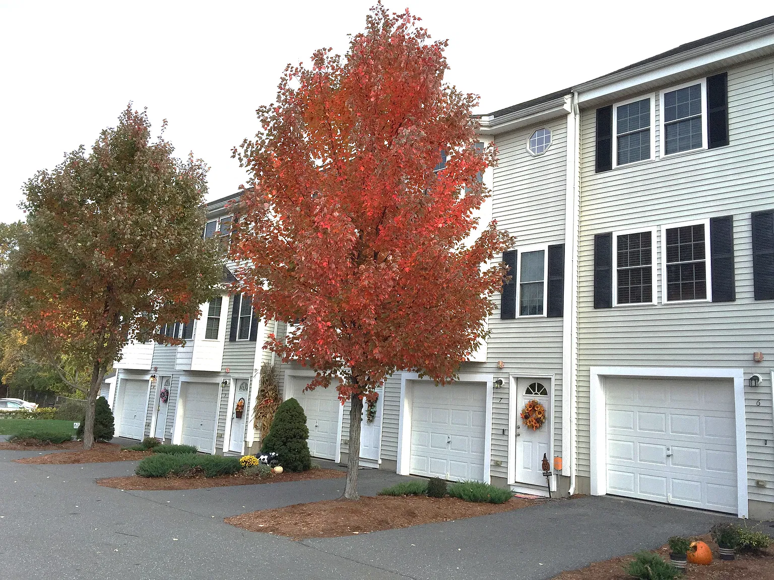 2 bed, 1.5 bath, 1656 sqft, $2,500 — Photo 1