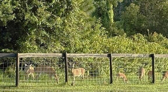 50th image of this home