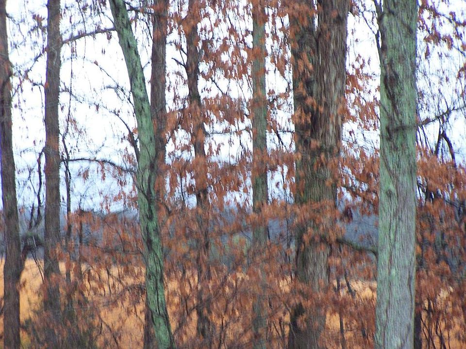 2nd image of 1267 Houston Springs Rd