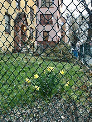 2nd image of 24-05 27th St #3B