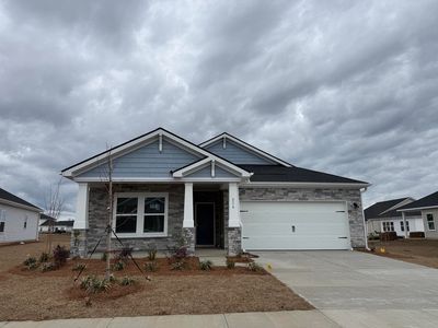 516 Cypress Preserve Circle #325 Buchanan J, Buchanan J Longs, SC, 29568