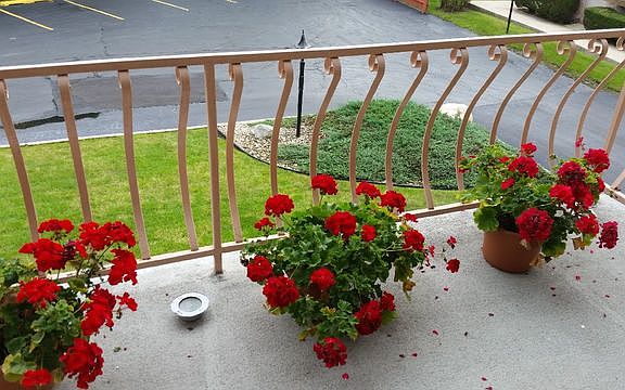 4th image of 18855 Burnham Ave APT 231