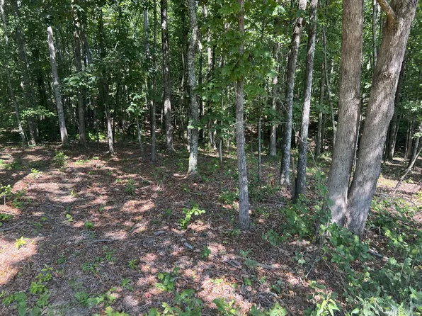 1399 Turnpike Rd Lot 1, Summertown, TN 38483