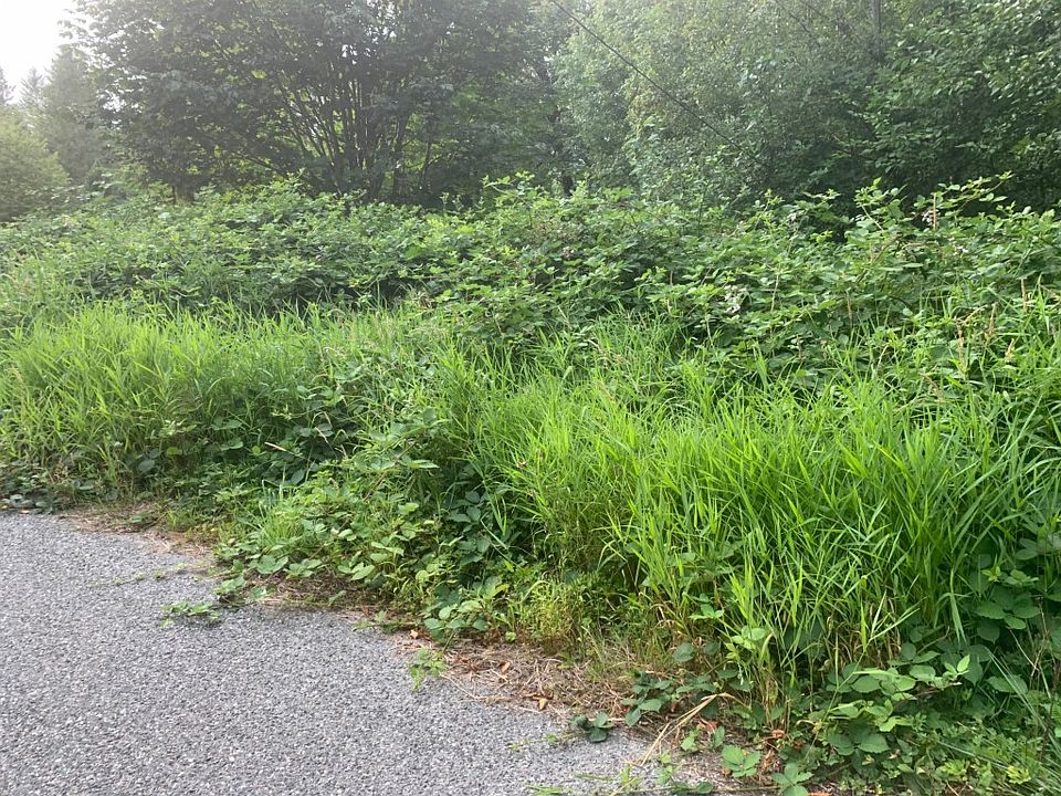 2nd image of 41587 Cape Horn Dr