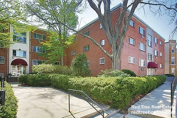 239 Kelton St — Photo 10