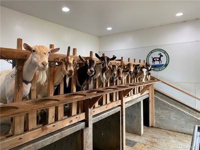 1681 W State Route 4, Skamokawa, WA, 98647