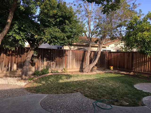 1616 Finch Way — Photo 13