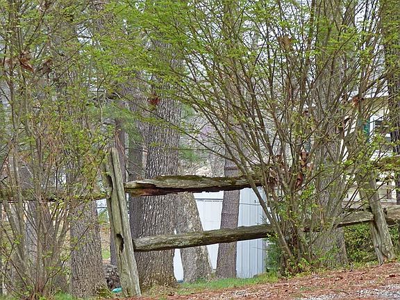 4th image of Wyandotte Dr