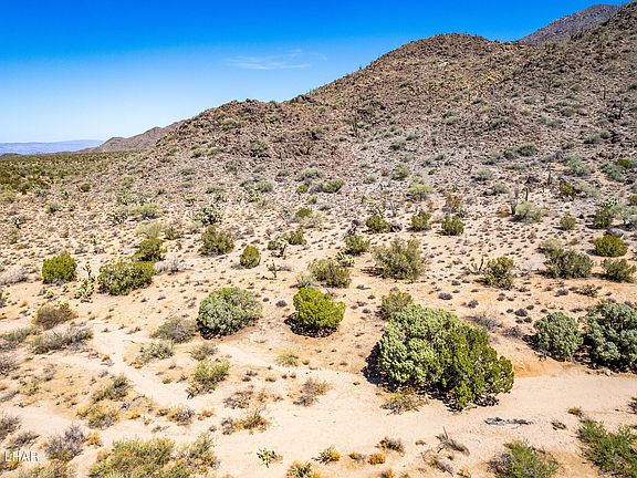 2nd image of 241-06 E Prickly Pear Dr #15