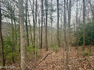Thissa Way, Gatlinburg, TN 37738