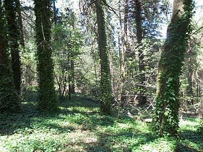 1st image of 5079 Alder Dr