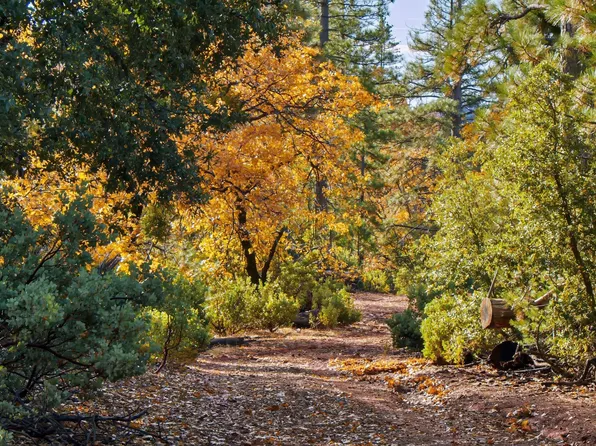 Forest Road Fs #2N07, Twain Harte, CA 95383